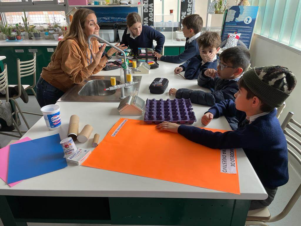 Digestive System Models Digestive System Models
