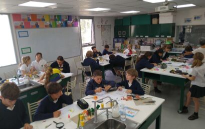 Y6 – Flower Dissection