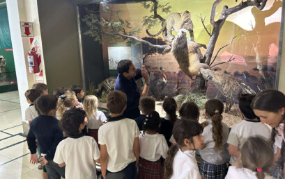 Y1 visited “Museo de Ciencias Naturales”