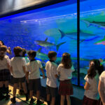 Y3 visited the Museum of Natural Sciences