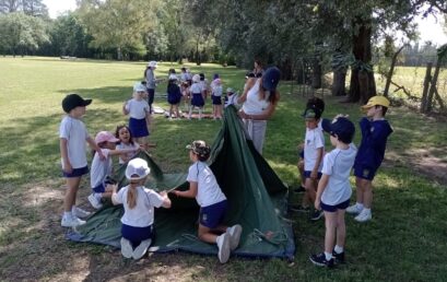 Y1 Camping