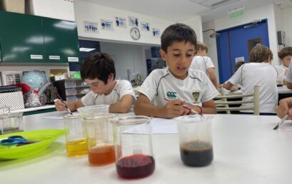 Y3 – Lab “Natural Pigments”