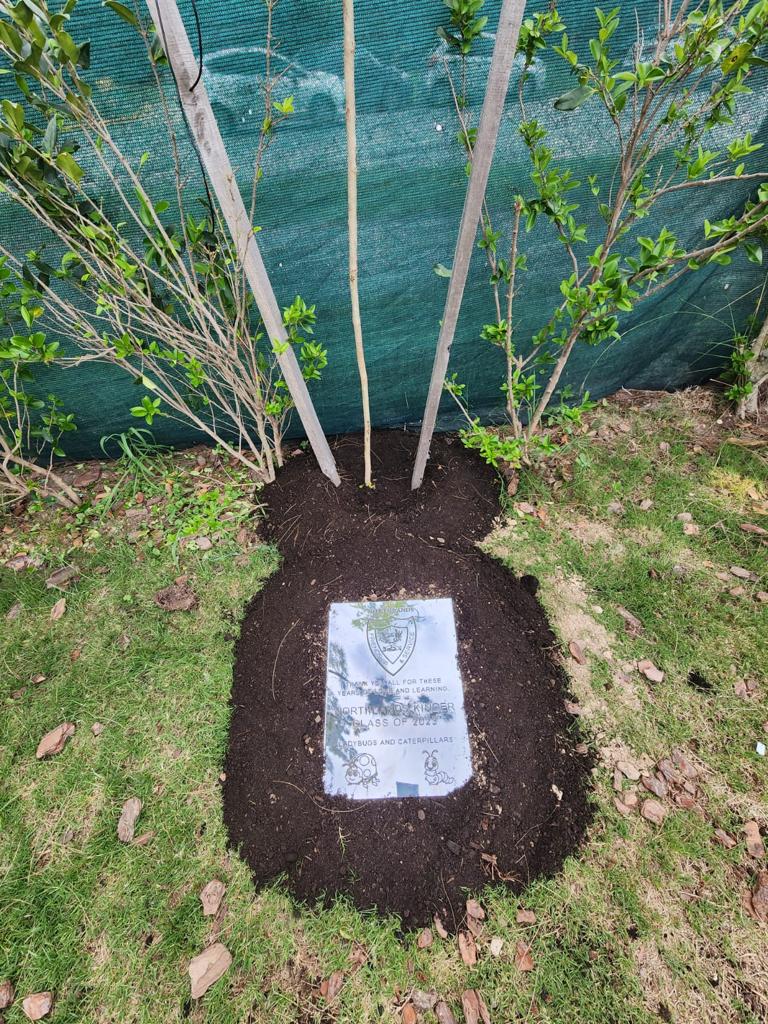 Nordelta Kindergarten – Native Tree Nordelta Kindergarten – Native Tree