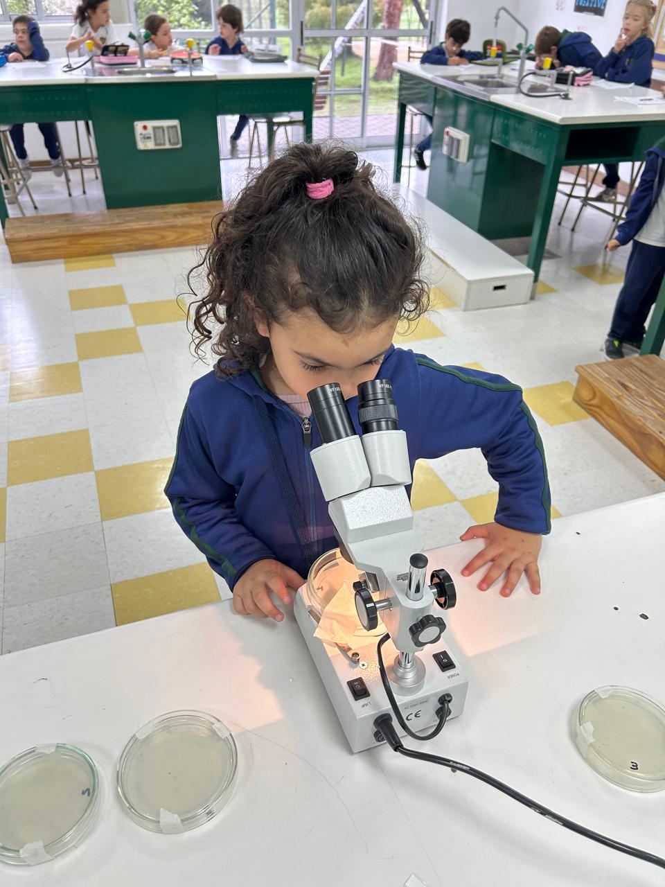 Y2 Nordelta – Discovering the world of bacteria Y2 Nordelta – Discovering the world of bacteria