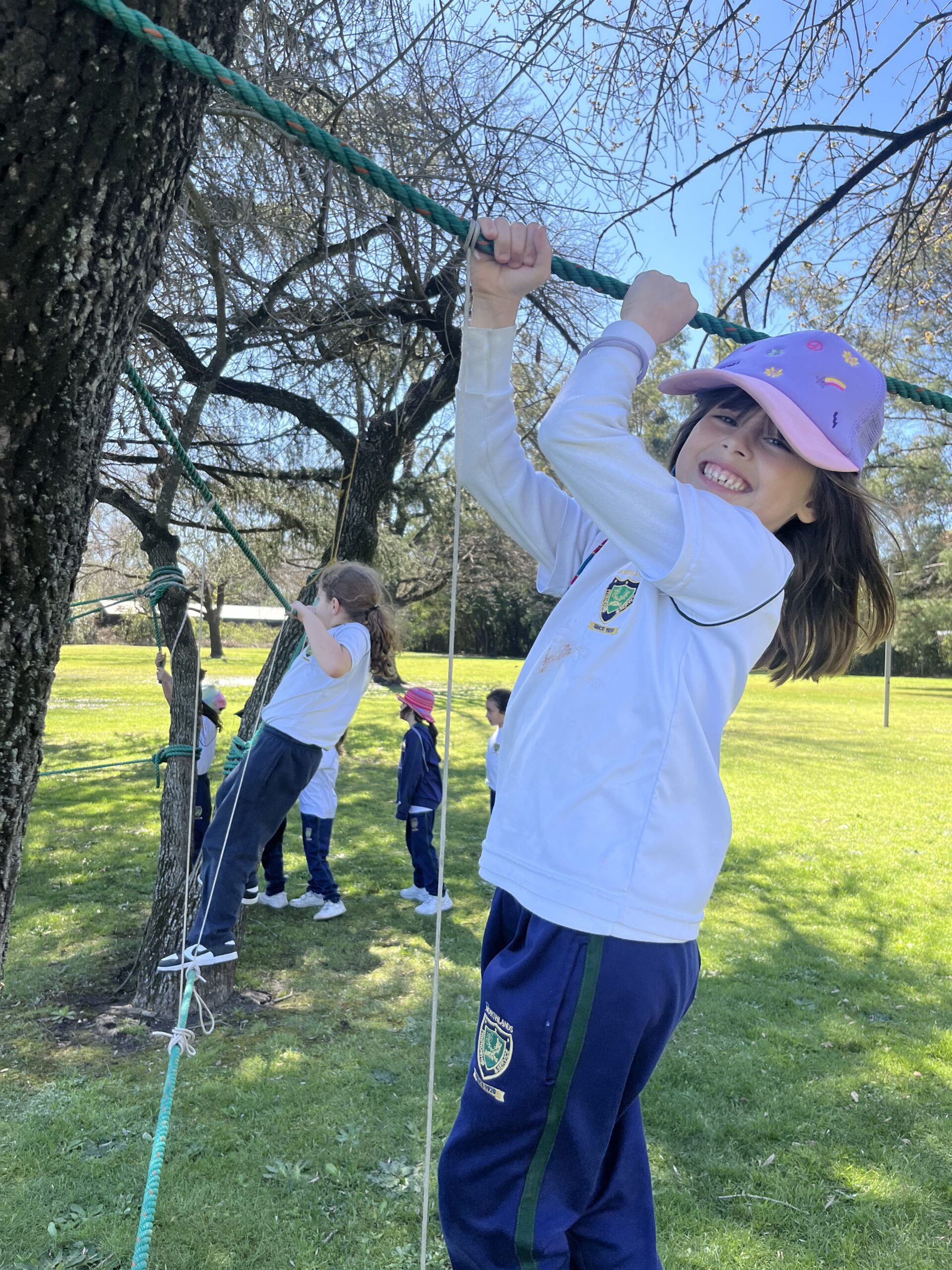 Y1 Olivos Camping Y1 Olivos Camping