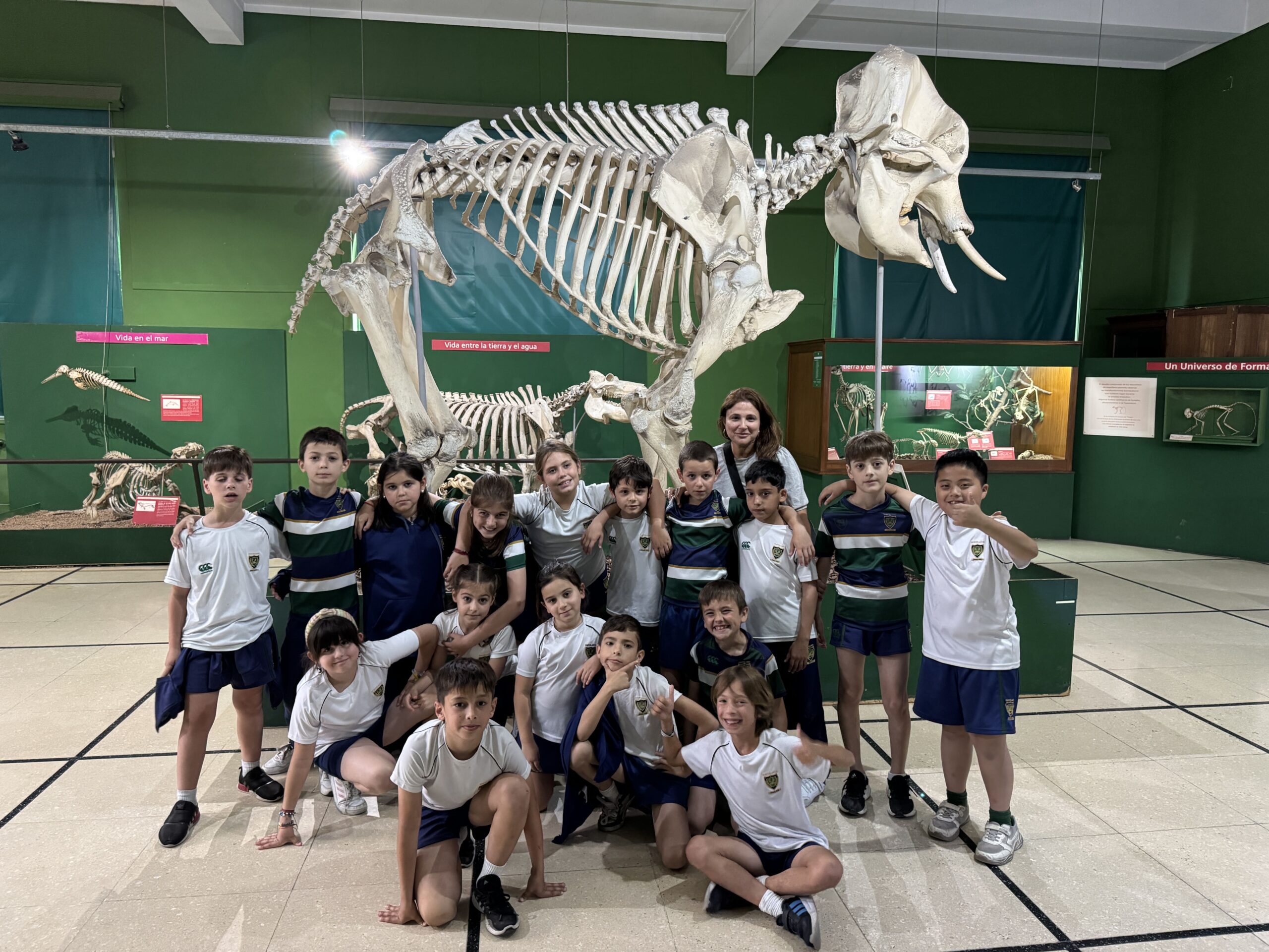 Y3 Afternoon at the Museum! Y3 Afternoon at the Museum!