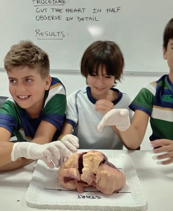 Exploring the Human Body Systems: A Remarkable Scientific Experience