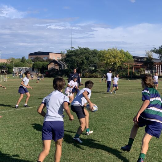 PE Trainings
