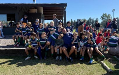 Primary Rugby Matches