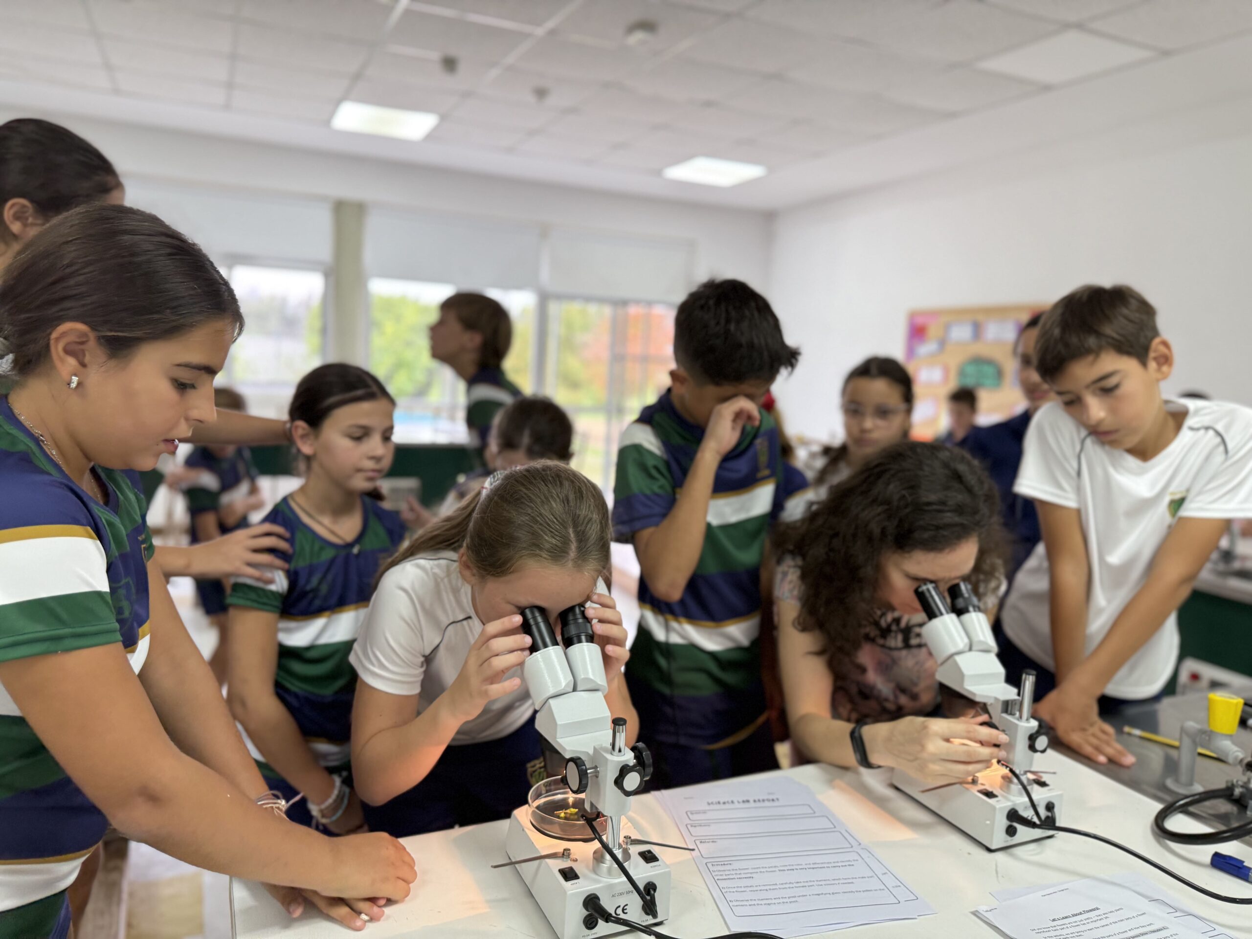 Y6 – Science lab Flower Dissection Y6 – Science lab Flower Dissection