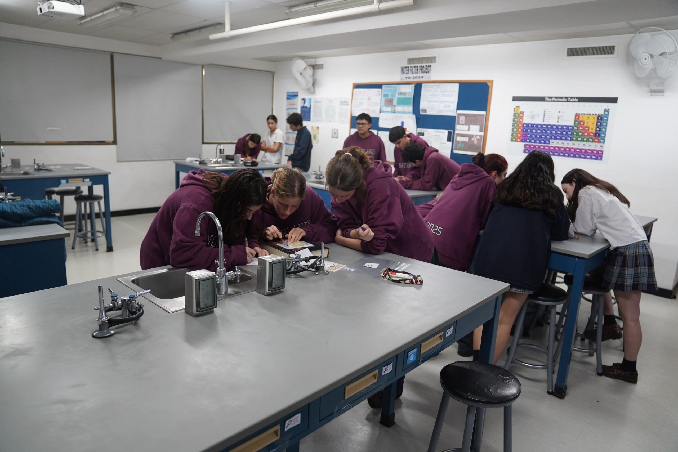 Escape Room experience – Y12 Biology students Escape Room experience – Y12 Biology students