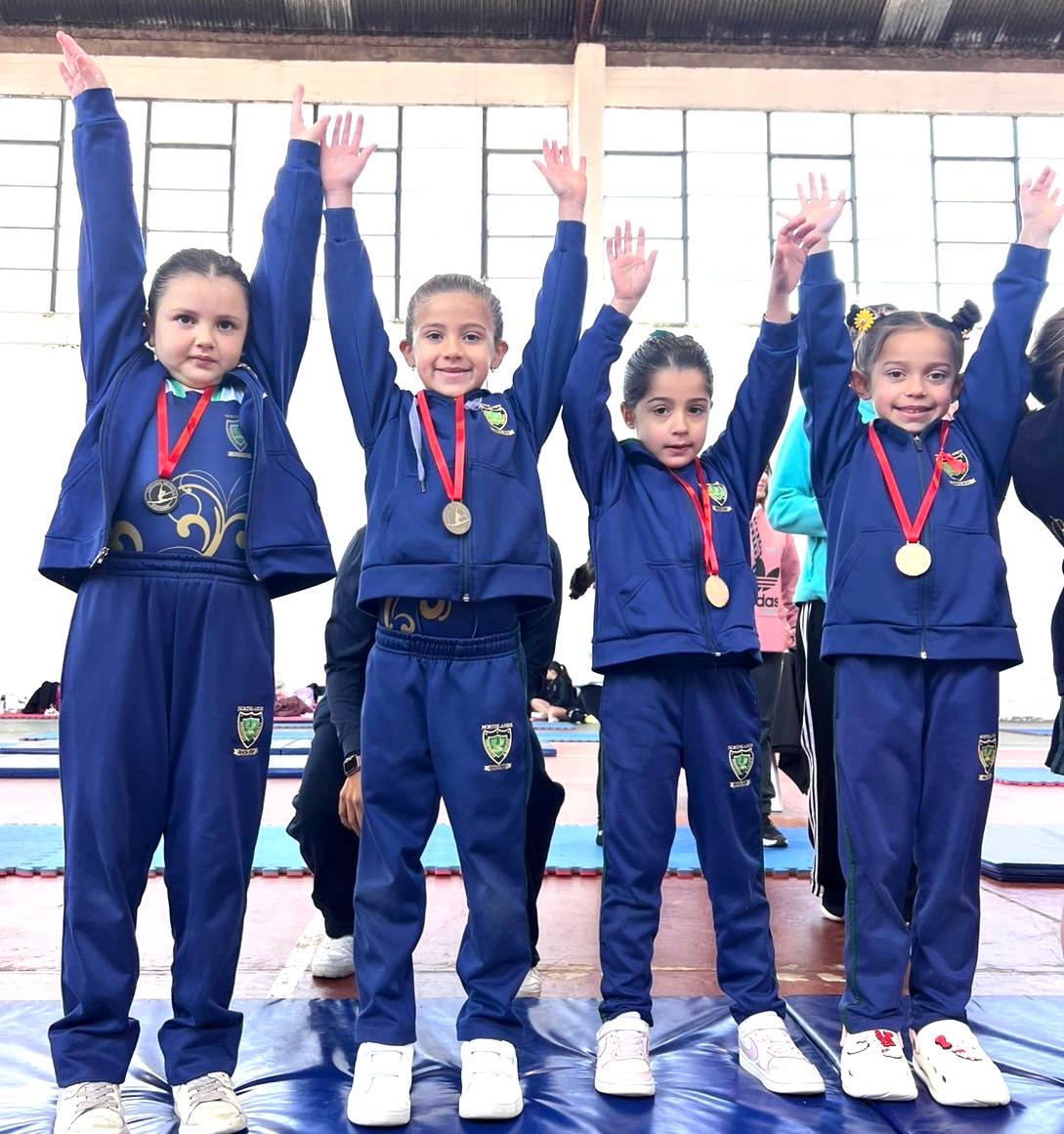 NPlus Gymnastics NPlus Gymnastics
