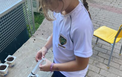 🌱Y1 – Little Gardeners in Action