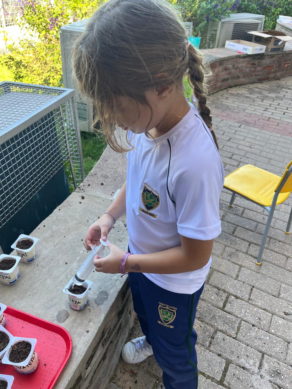 🌱Y1 – Little Gardeners in Action 🌱Y1 – Little Gardeners in Action