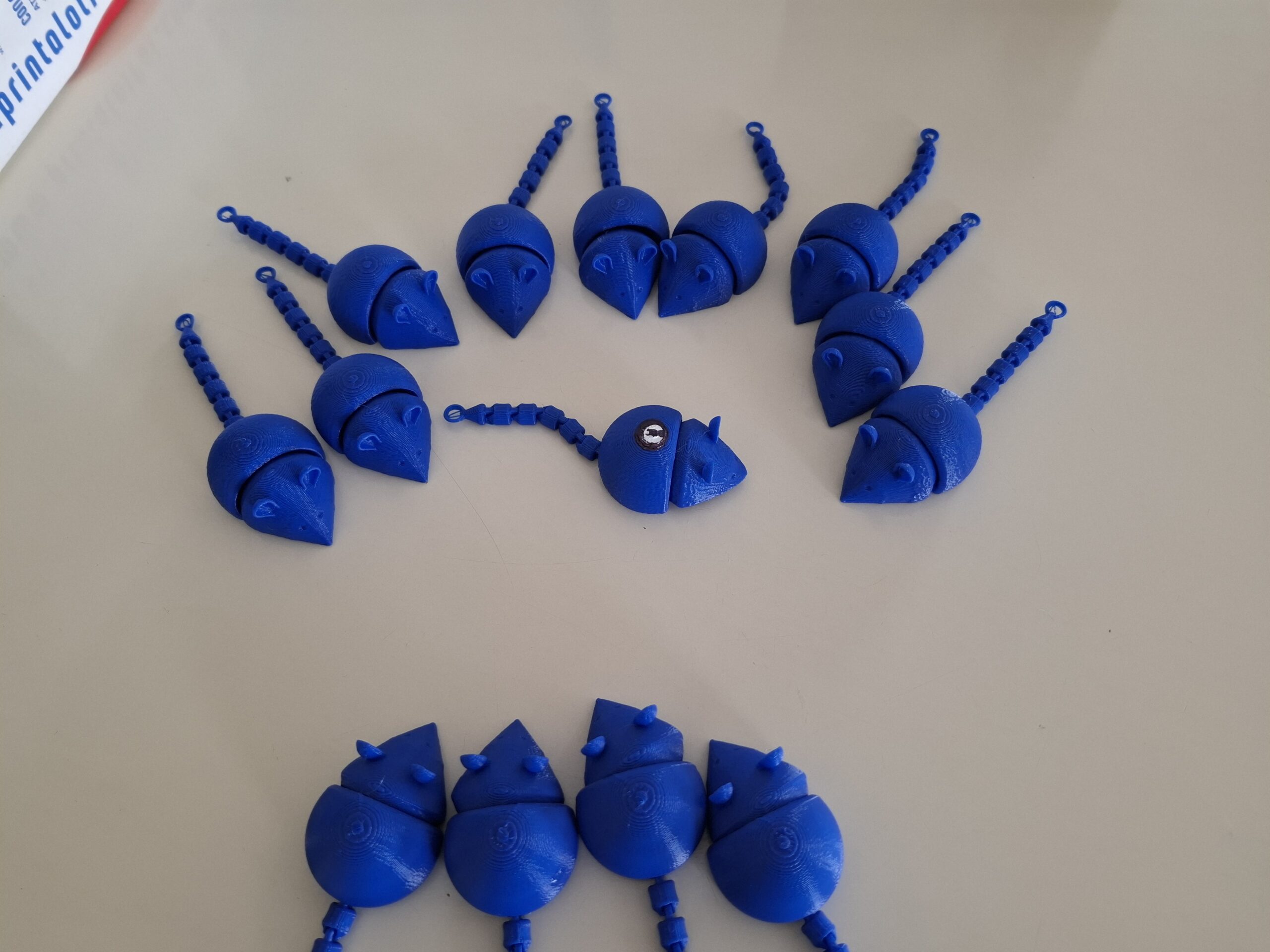 Robotics Workshop closure in Kinder 5 Robotics Workshop closure in Kinder 5