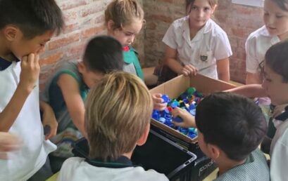 Y4 ND Jardín San Francisco