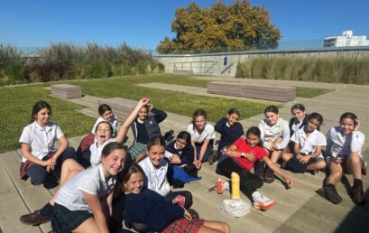 🧺☀️ Picnic Lunches on the Terrace with Y6 ☀️🧺