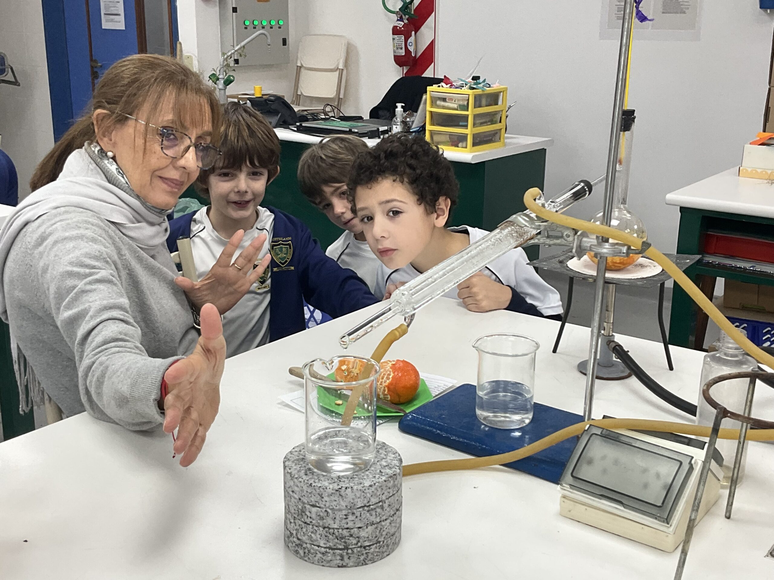 A Long, Long Time Ago… Y2 Travelled to Ancient Egypt! A Long, Long Time Ago… Y2 Travelled to Ancient Egypt!