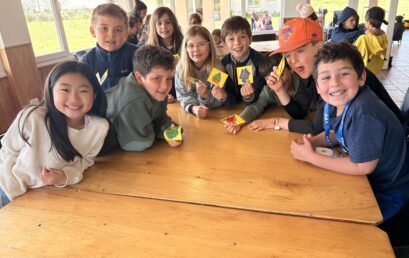 Y3 Camping
